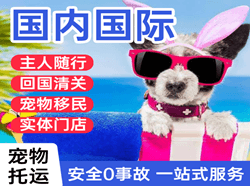 长治机场货运国际宠物托运 【国